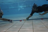 IMG_0029.jpg